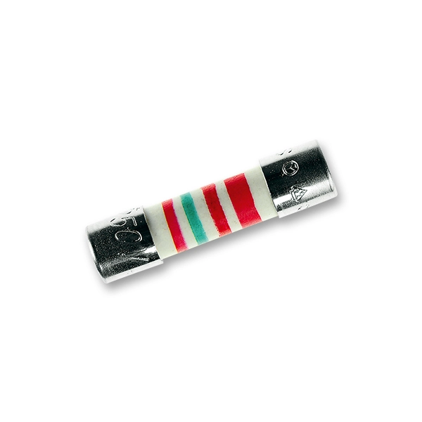 Pojistka pro elektronick&eacute; př&iacute;stroje (n&aacute;hradn&iacute;)
