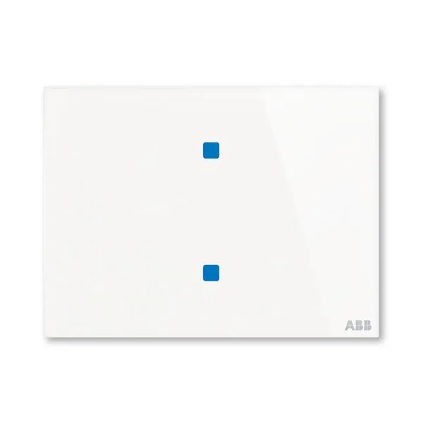Prvek ovl&aacute;dac&iacute; dotykov&yacute; 2n&aacute;sobn&yacute;, 115x86 mm, ABB tacteo&reg;, zapu&scaron;těn&yacute;