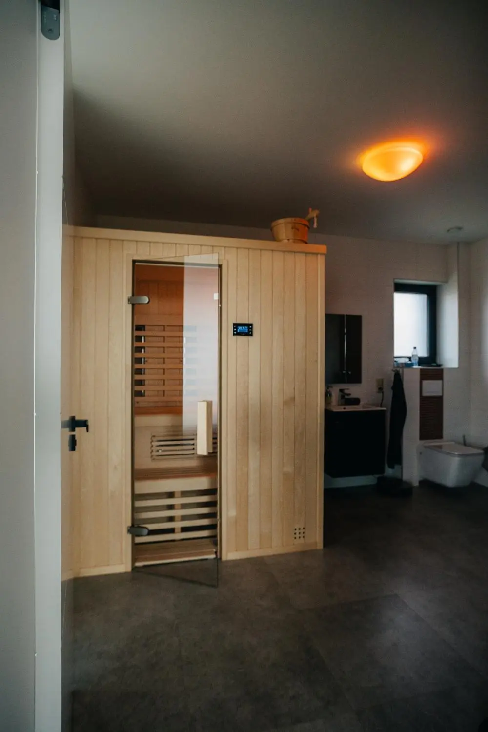 Dom&aacute;c&iacute; wellness m&iacute;stnost se saunou